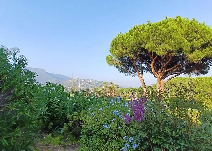 A Few Steps From The Beach, Very Comfortable * Le Lavandou