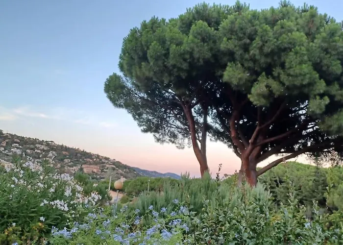 A Few Steps From The Beach, Very Comfortable Le Lavandou